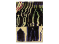Custom Moroccan Rug - Jelly Morocco Collection Azilal Rugs Of Morocco
