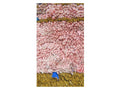 Vintage Moroccan Rug - Bahrya Morocco Collection Azilal Rugs Of Morocco
