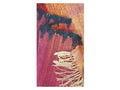 Vintage Moroccan Rug - Safiyya Morocco Collection Taznakht Rugs Of Morocco