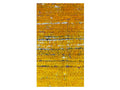 Vintage Moroccan Rug - Tamemt Morocco Collection Azilal Rugs Of Morocco