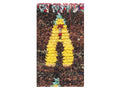 Vintage Moroccan Rug - Tifawin Morocco Collection Boucherouite Rugs Of Morocco